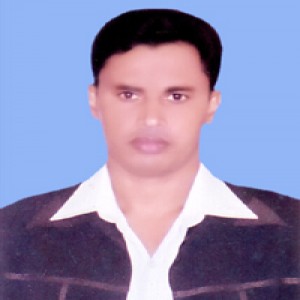 Sholla School College Teacher